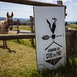 Domaine Du Coq En Pat *