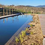 Domaine Du Coq En Pat *