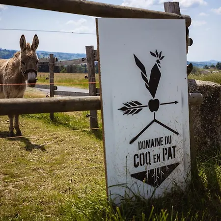 Domaine Du Coq En Pat *