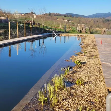 Domaine Du Coq En Pat *